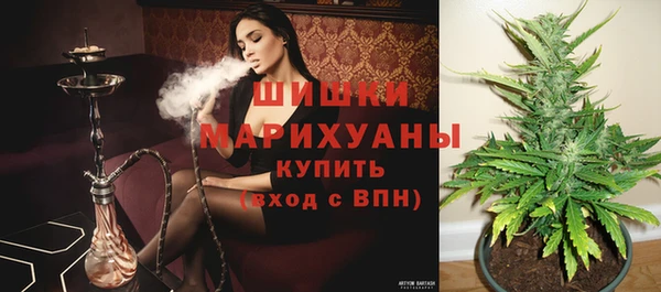 не бодяженный Аркадак